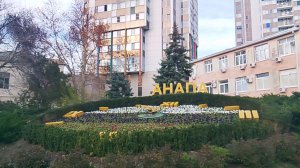 Анапа  наряжает ёлочки 4 декабря 2025