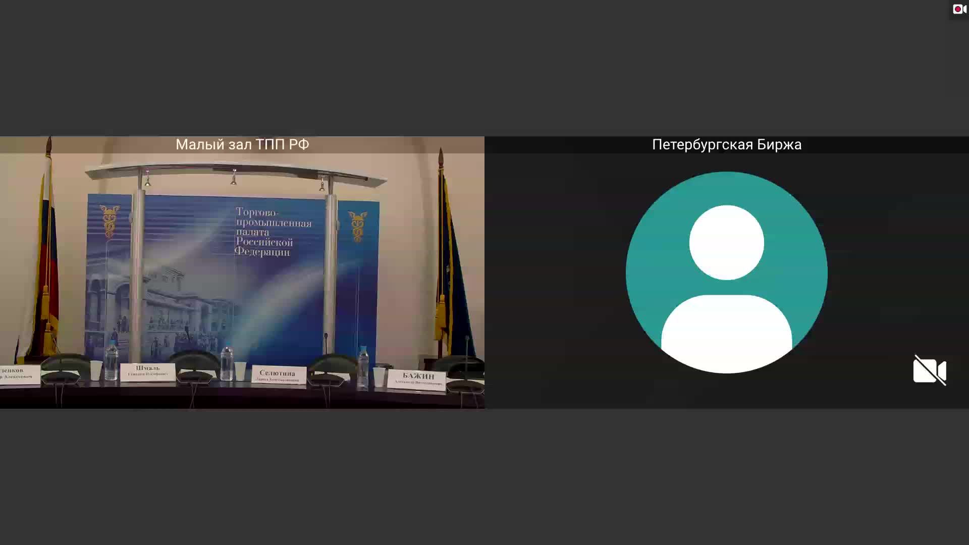 Заседание Комитета ТПП РФ по энергетической стратегии и развитию ТЭК смотреть онлайн