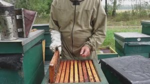 Система рут, подготовка семей к зимовке.