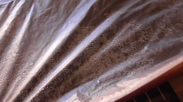 Как сократить сроки ожидания всходов томатов? ПОДОГРЕТЬ! 2022 год. смотреть онлайн