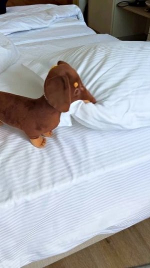 ЧАПИ СДЕЛАЛА ГОРУ ИЗ ПОДУШЕК