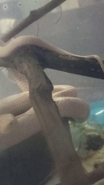 Карамелька... 25 ноября 2025 г. смотреть онлайн