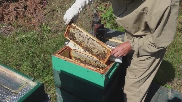 Кочевка завершена результат есть!