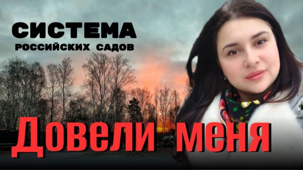 Полетели. Из Германии в Россию. Система, которая довела меня до слез.