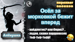 АЛЕНУШКА. Осёл за морковкой бежит вперед (в конце мошенник бомбит, немного мата от него!)