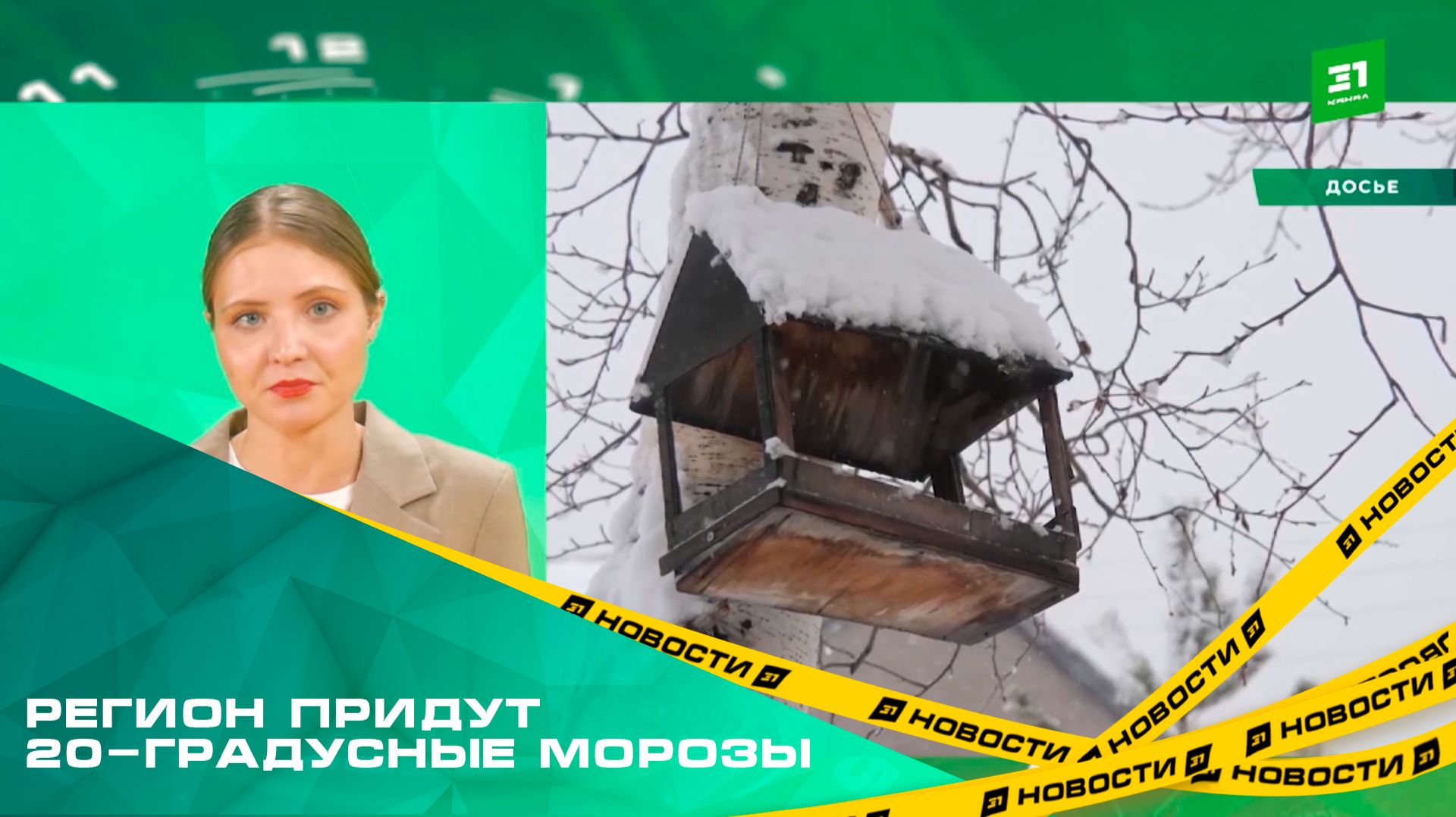 К концу недели в регион придут 20-градусные морозы смотреть онлайн