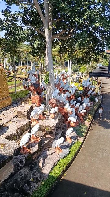 Мы ищем чудеса. А они — просто рядом Что скрывает Nong Nooch? смотреть онлайн