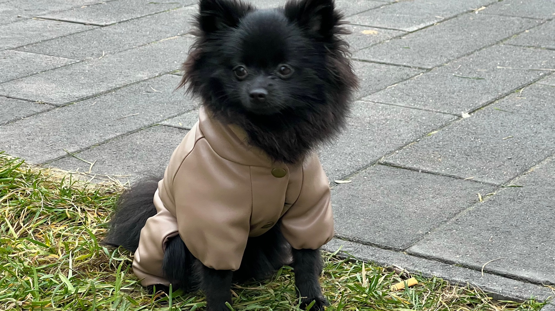 Обзор зимних комбинезонов смотреть онлайн