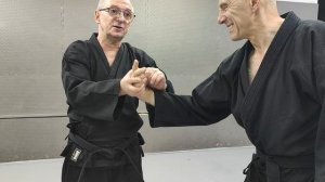 джиу-джитсу феникс