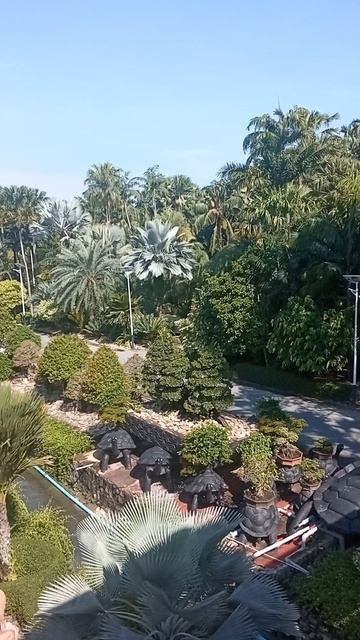 7 зон парка, где хочется жить Что скрывает Nong Nooch? смотреть онлайн