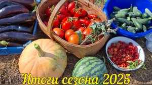 Итоги огородного сезона 2025 года. Ожидание-реальность семена овощей.