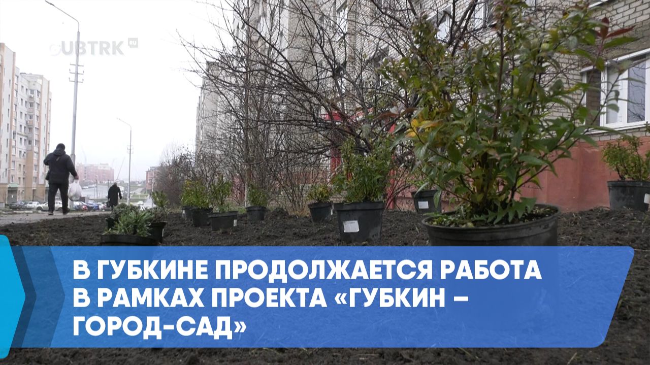 В Губкине продолжается работа в рамках проекта «Губкин – город-сад» смотреть онлайн