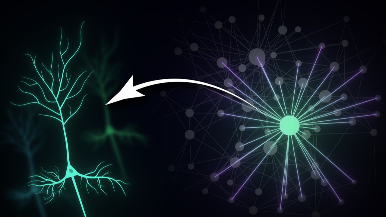 Удивительно, Как Устроен Ваш Мозг смотреть онлайн