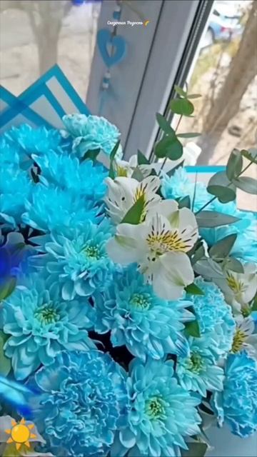 #настроениедня #красивыйбукет #любимое15число #моиэмоции #радость #восторг #голубыецветы #событиедня смотреть онлайн