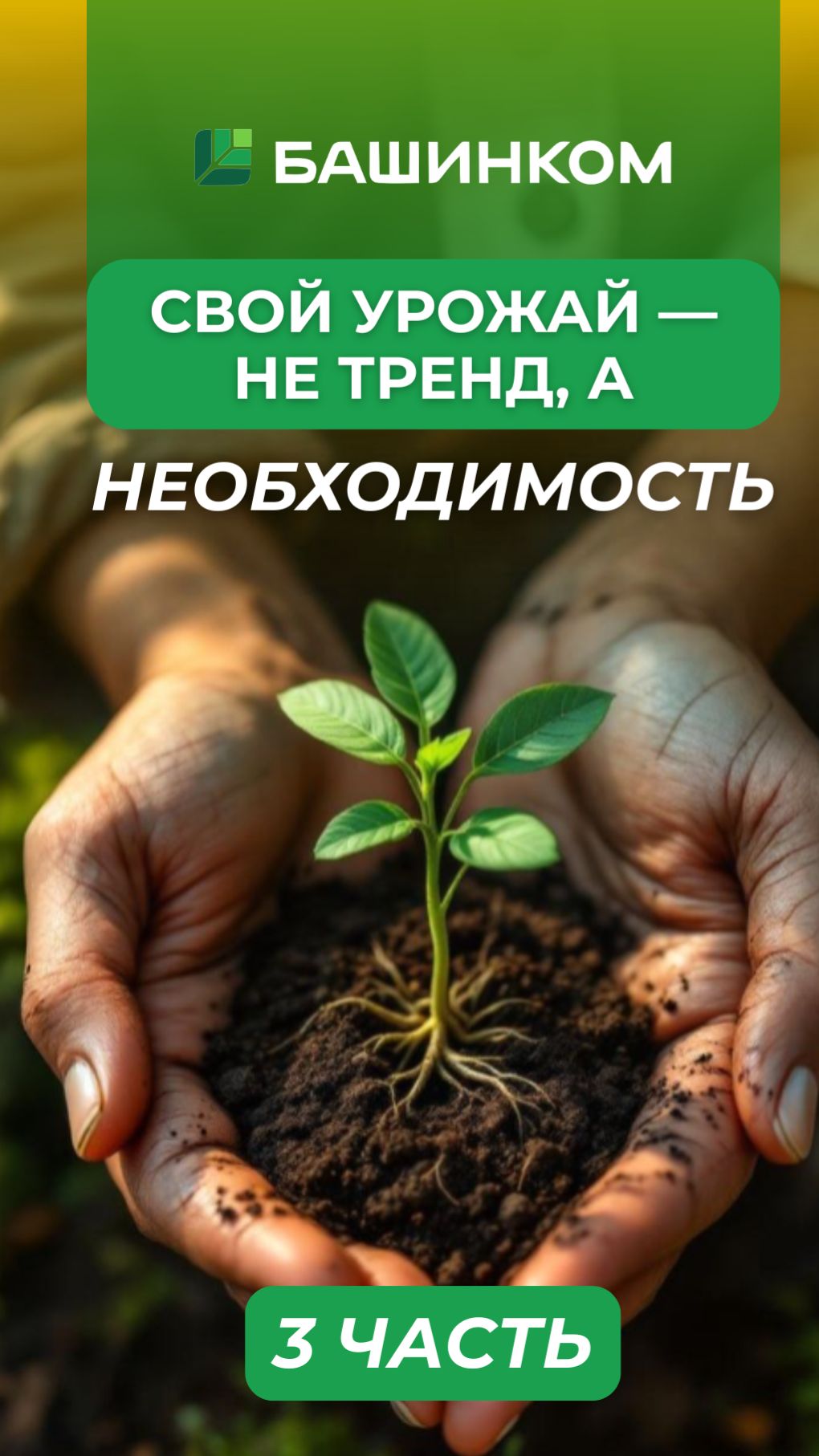 Не тренд а необходимость 3 смотреть онлайн