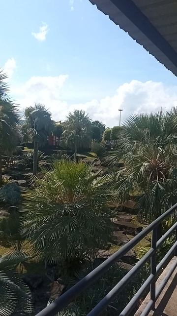 Вход в «Французский сад» — как в Моне Что скрывает Nong Nooch? смотреть онлайн