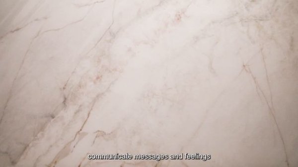 MUSEUM - DAHLIA COLLECTION