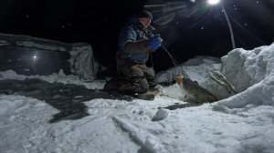 ПЕРВЫЙ КРЮЧОК - ПОКАЗАТЕЛЬ УЛОВА | ПРОВЕРКА ПЕРЕМЕТА 04.12.2025