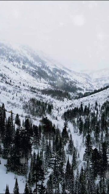 Первый день зимы