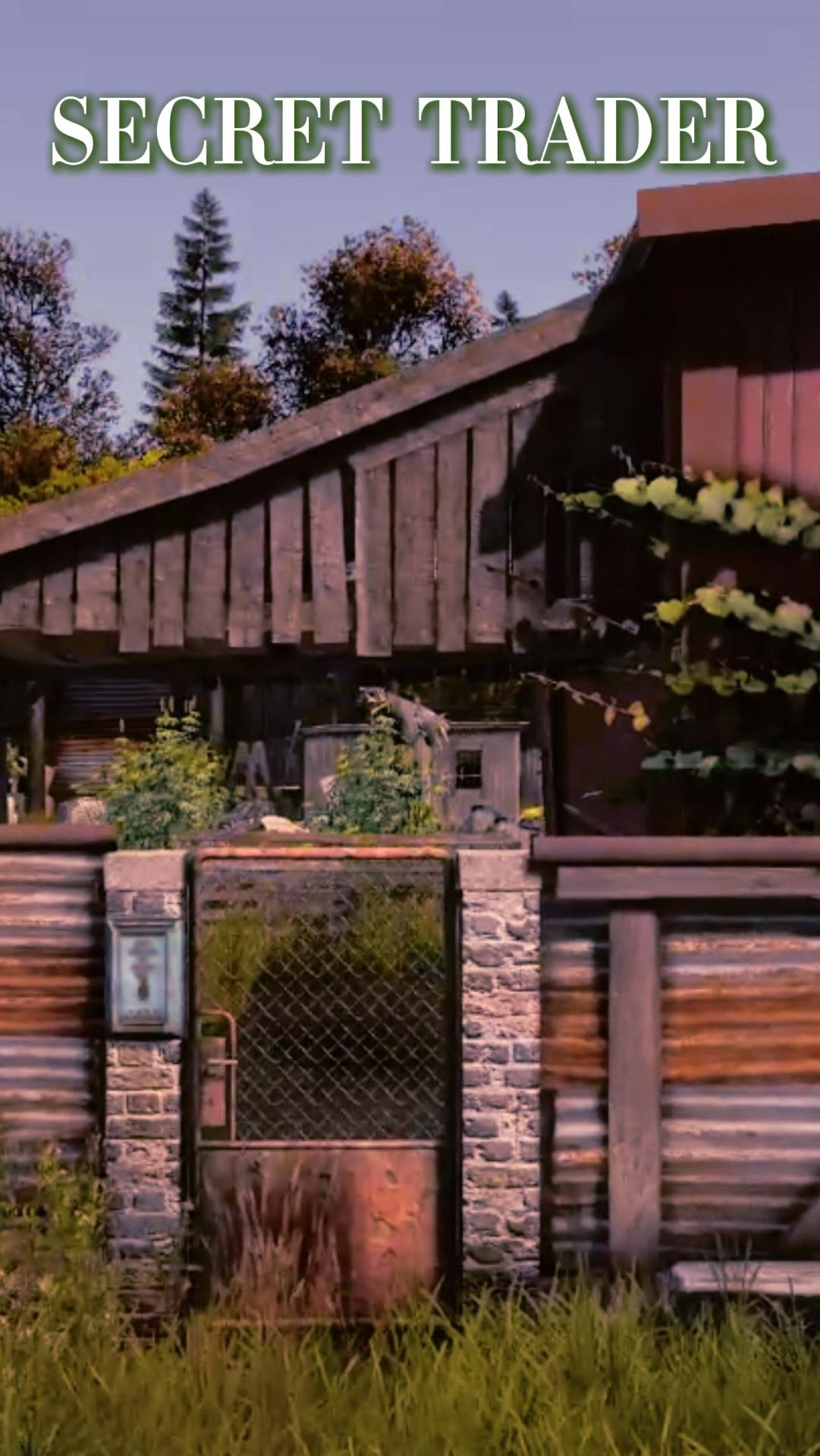 Торговец травой. Дейз маппинг. Карта Чернорусь. Малиновка.