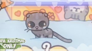 Забрали животных из приюта?🥺~наш семейный день~ |новая семья?😘|паки^