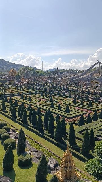 Здесь не гуляют. Здесь — возвращаются Что скрывает Nong Nooch? смотреть онлайн