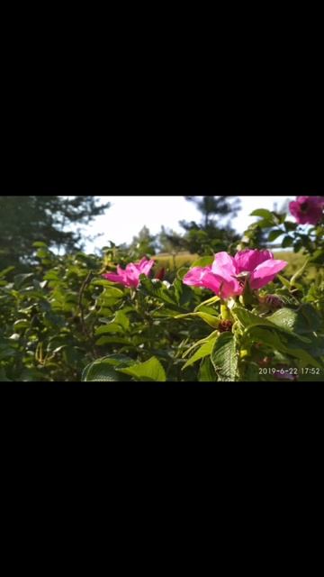 Архив 2019 г. (9)