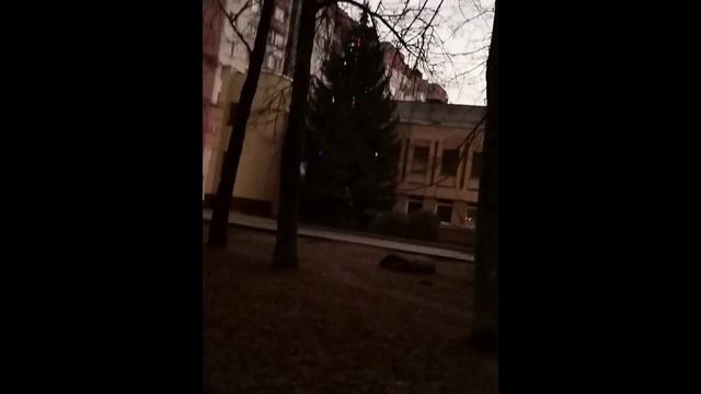 ⛄ ПредНовогодняя Орша... (26 12 2020)