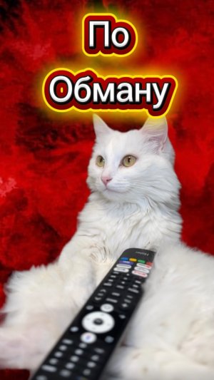 А вы смотрели? 🙀