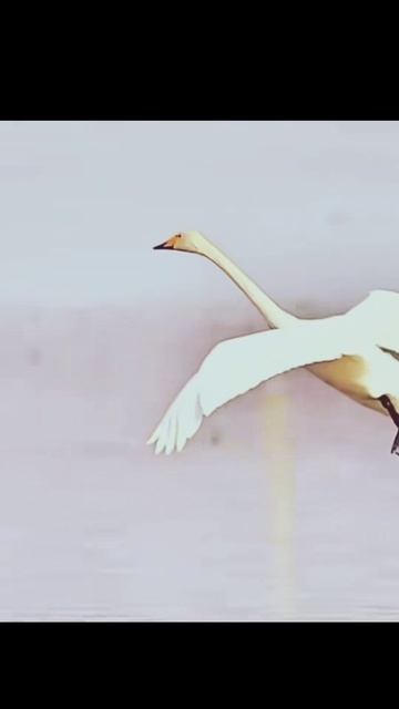 Мягкая посадка смотреть онлайн