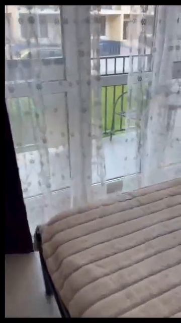 2-к. квартира 55 м², 1_3 смотреть онлайн