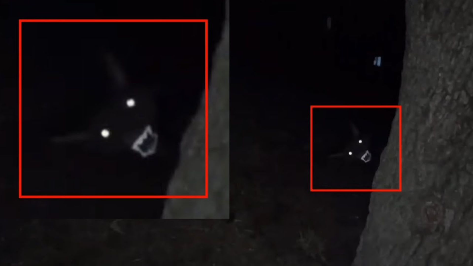 Страшное существо рогатое напугал охотника и попало в кадр там