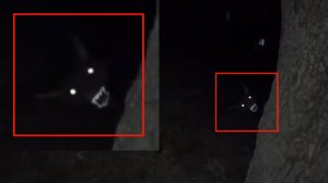 Страшное существо рогатое напугал охотника и попало в кадр там