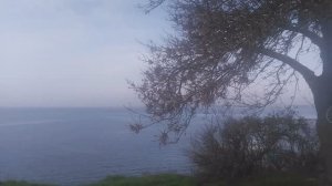 VID_20251130_133226.mp4