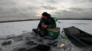 Ротаны, Вы мои, Ротаны. Зимняя рыбалка 2025-2026. Открытие зимнего сезона