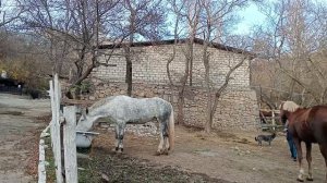 Клуб "Красный конь",Касимовка,Алупка.