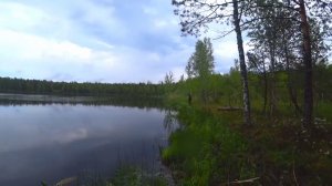 РОТАНЫ СОШЛИ С УМА, ТАКИХ МУТАНТОВ Я ЕЩЕ НЕ ВИДЕЛ!