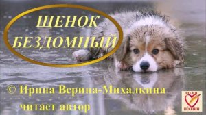 Ирина Верина-Михалкина – «Щенок бездомный», читает автор