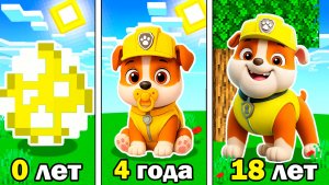 ЭВОЛЮЦИЯ КРЕПЫШ ЩЕНЯЧИЙ ПАТРУЛЬ В МАЙНКРАФТ PAW PATROL МУЛЬТИК