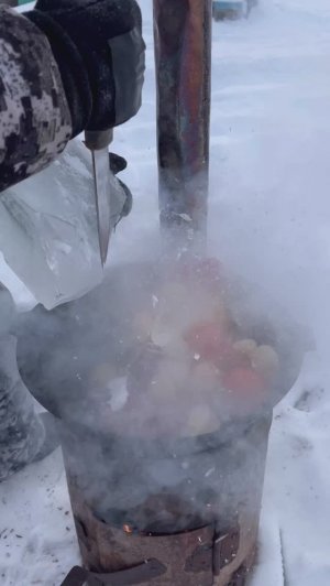 Картошка с мясом и овощами -50 С❄️ pandasakha #shorts