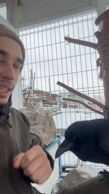 Подробней тут: смотреть онлайн