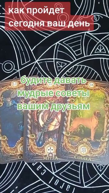 3cd0baec-54b5-4324-985a-09115facc9f4-1_all_1964.mp4