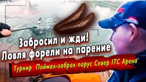 Форель на Jara baits Bruchi 30 / Ловля форели на парение что это такое?