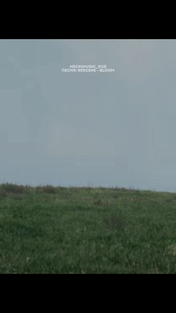 RESCENE - Bloom | русский перевод от meckimusic