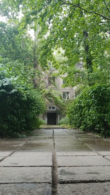 Дождь в старом бишкекском дворике