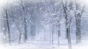 Вьюга, вьюга, что ты кружишь?