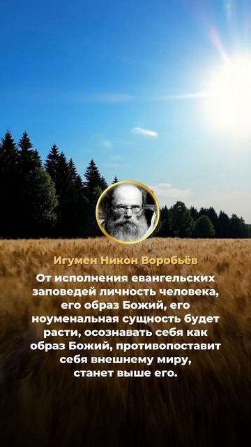 В молодости все делают большую ошибку, откладывая на будущее... (Игум. Никон Воробьёв) смотреть онлайн