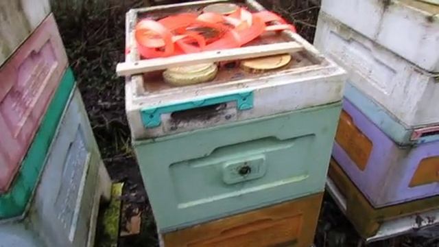 работа на пасеке в декабре, температура на улице плюс три градуса , часть 2 , 4.12.2025 смотреть онлайн