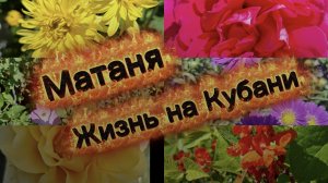 Почему мы переехали на юг?/ Новые чехлы/ Приготовила сырный суп и винегрет/