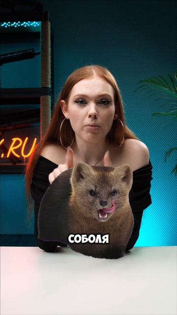 ТЫ – БРАКОНЬЕР! #shorts #охота смотреть онлайн